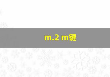 m.2 m键